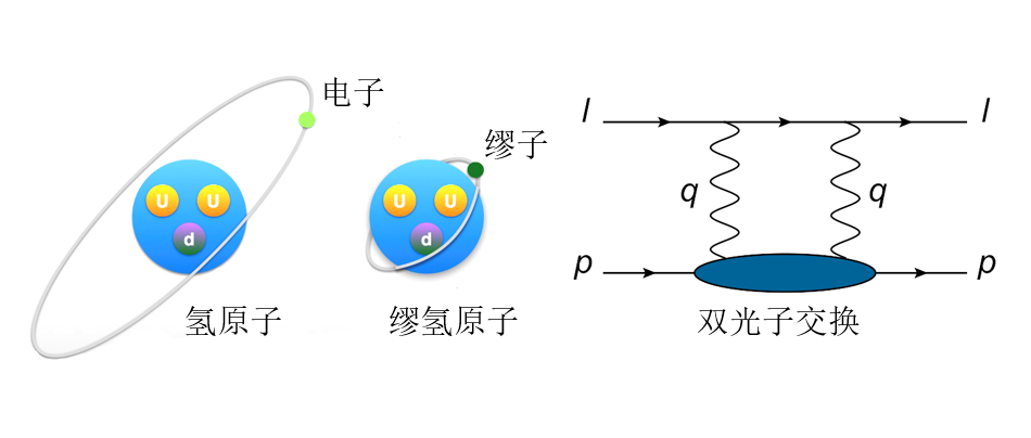 物理学院冯旭研究员课题组利用格点量子色动力学在缪氢原子光谱研究中取得突破性进展