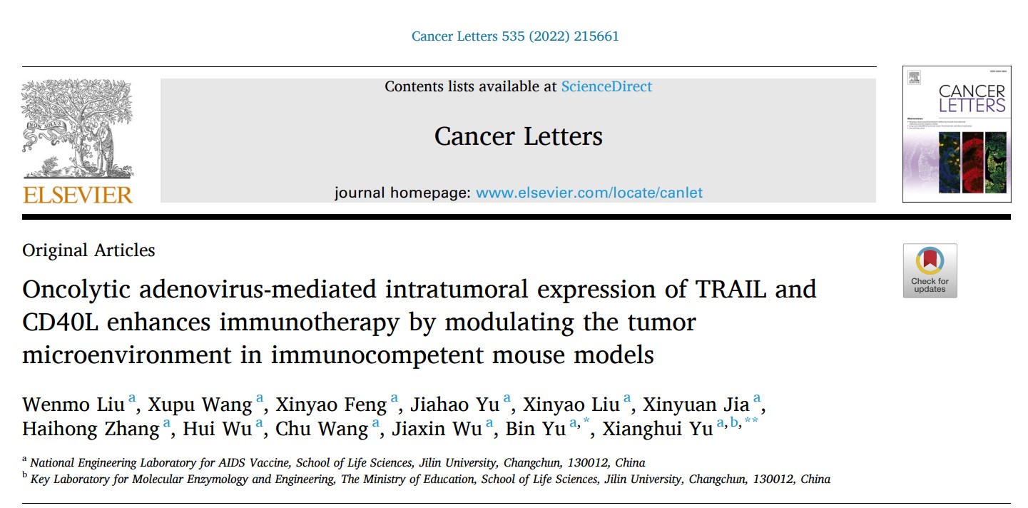 于湘晖教授、于彬教授团队在肿瘤免疫治疗领域连续取得进展