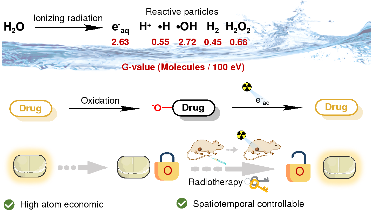 刘志博课题组报道水合电子介导的放疗激活前药策略