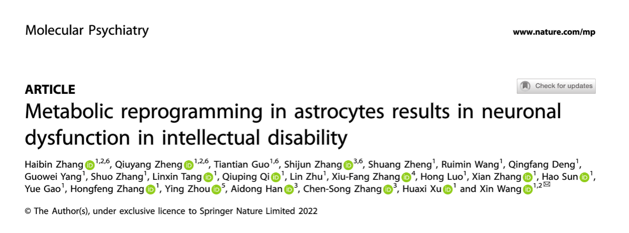 王鑫教授团队发文揭示星形胶质细胞代谢异常参与智力障碍疾病的新...