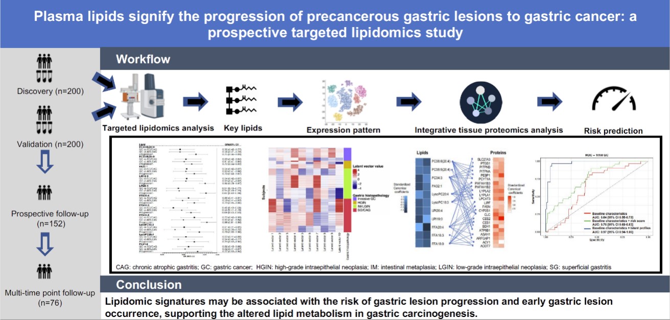 流行病学室研究团队前瞻性研究揭示胃黏膜病变进展和胃癌风险相关脂质组学特征