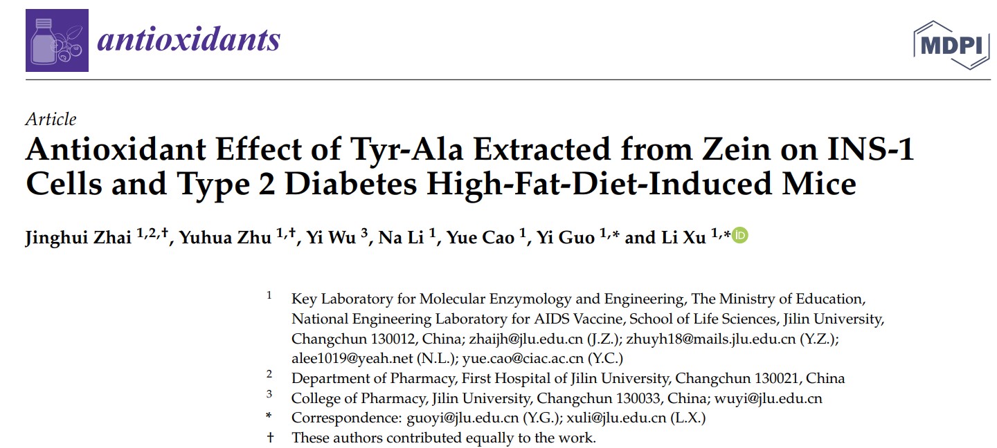 徐力教授团队在小分子生物活性肽调节胰岛素分泌领域取得重要进展