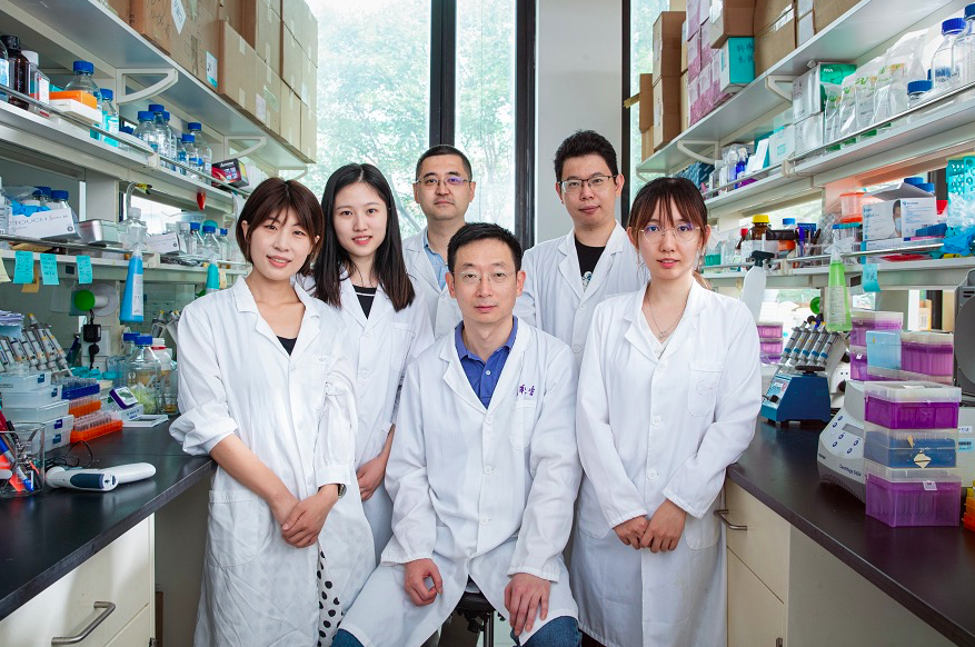 清华大学药学院丁胜团队在《自然》发表突破性全能干细胞创新研究