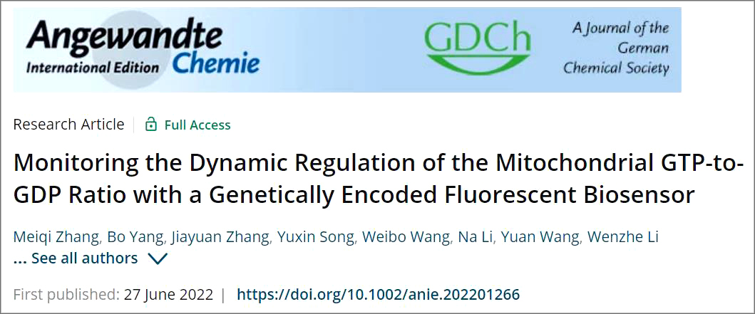 Angewandte Chemie：王晶团队通过发展比例型荧光生物传感器揭示线粒体内GTP/GDP Ratio的动态调控