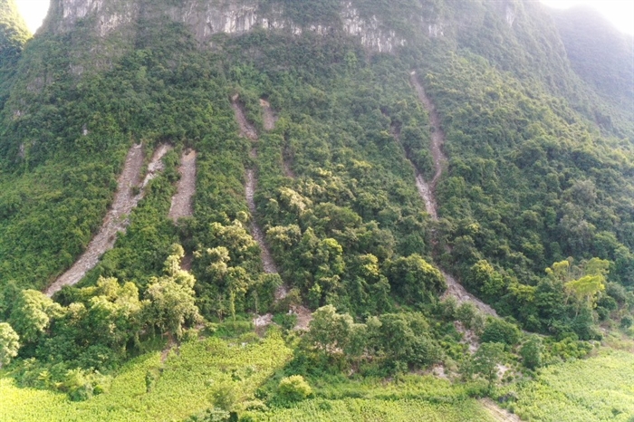 环江站开展喀斯特区山体滑坡灾害调查