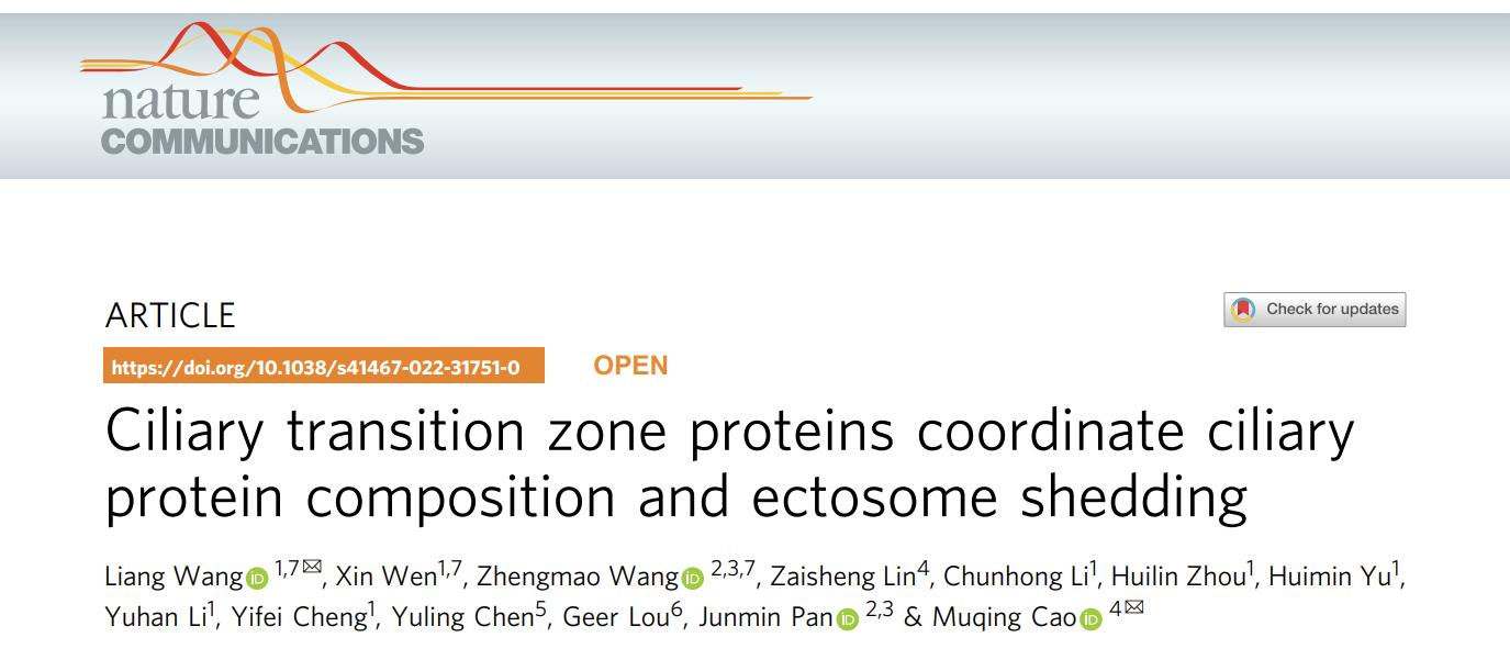 Nature Communications |纤毛疾病相关蛋白参与纤毛“门控”维持和纤毛外泌体生成的机制